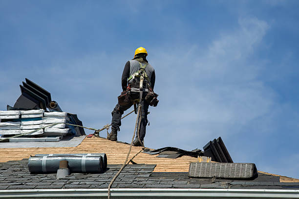 Professional Roof Repair technician working in Le Roy, IL